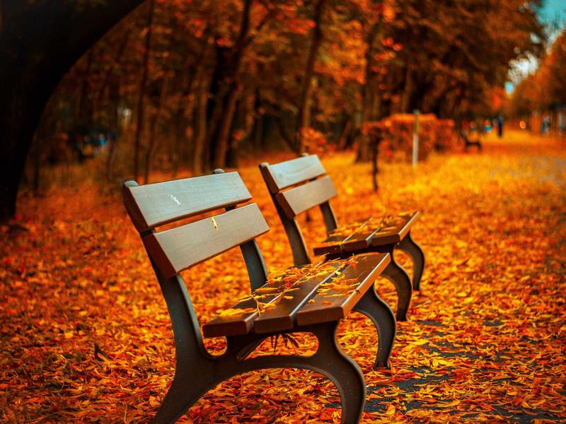 跨境支付<br>Stripe/PayPal 收款防封号